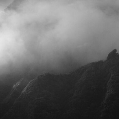a foggy mountain with trees